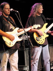walter trout band