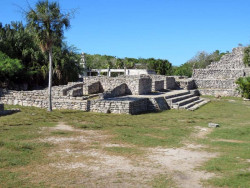 xcampo