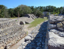 xcampo