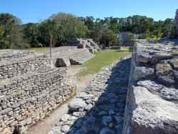 xcampo