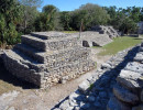 xcampo