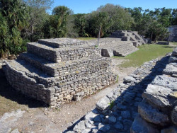 xcampo