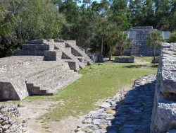 xcampo
