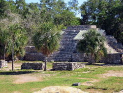 xcampo