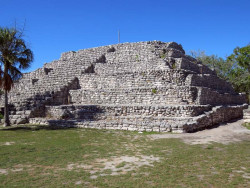 xcampo