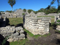 xcampo