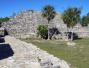xcampo
