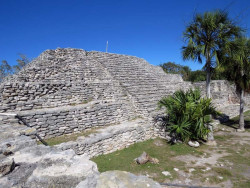 xcampo