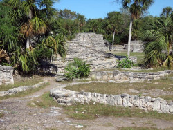 xcampo
