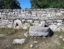 xcampo