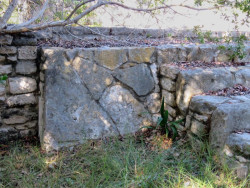 xcampo